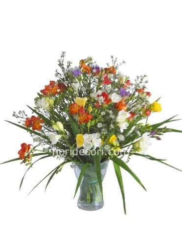 Bouquet » Fiori a Sala Bolognese. Fiorista per acquisto online, invio e  consegna a domicilio di fiori e piante a Sala Bolognese